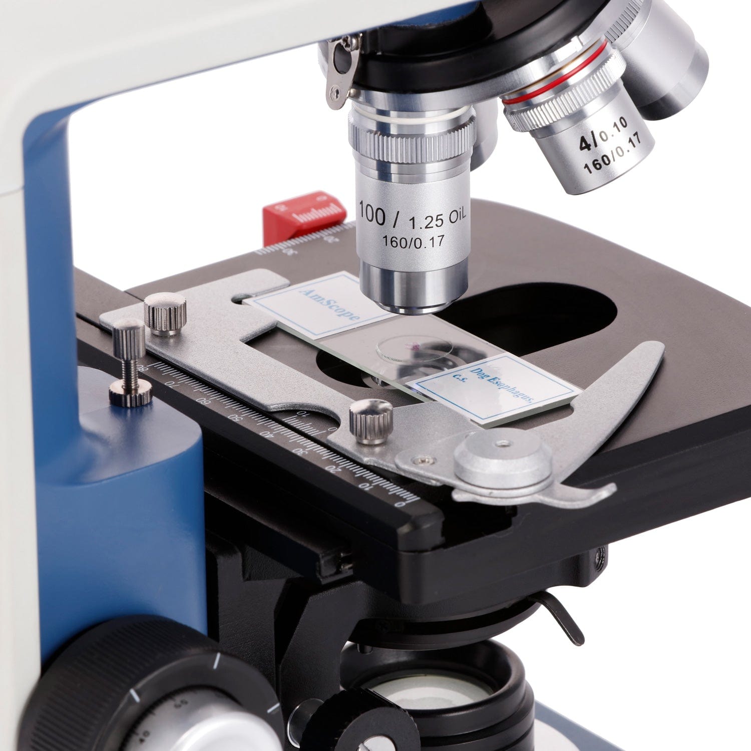 Microscope Compound 40X - กล้องจุลทรรศน์แบบสองตาสำหรับนักเรียน AmScope กำลังขยาย 40X-2500X