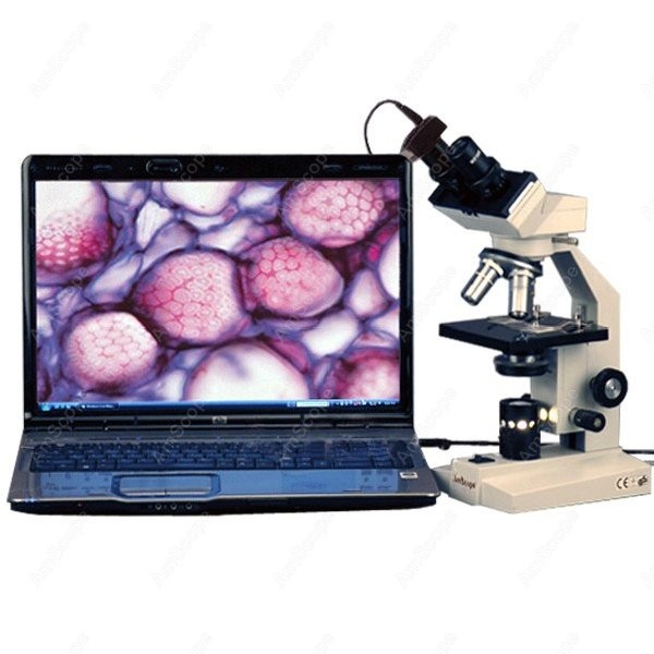 กล้องจุลทรรศน์แบบประกอบสองตาสำ - Amscope Microscope Compound 40X-1000X บทวิจารณ์และราคา