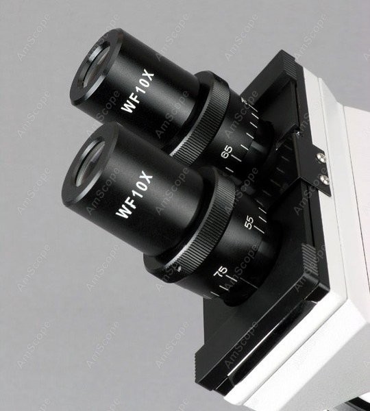 กล้องจุลทรรศน์แบบประกอบสองตาสำ - Amscope Microscope Compound 40X-1000X บทวิจารณ์และราคา